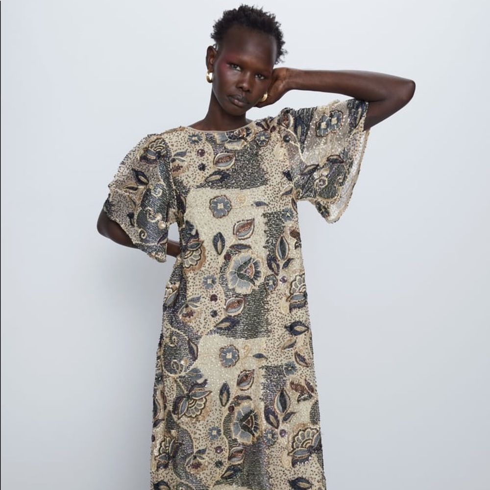 Zara special edition embroidered beaded dress